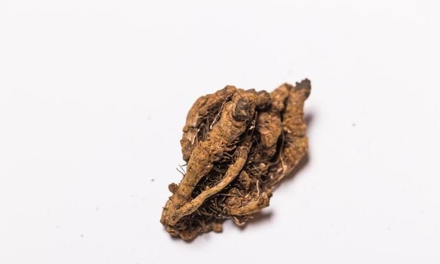 每天一味中药一黄连