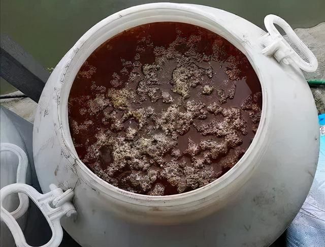 高温蓝藻杀了又起，治标不治本！彻底安全的处理蓝藻，分这几步走