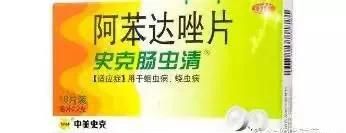 肚子里有蛔虫有什么特征,肚子里有虫子的表现图2