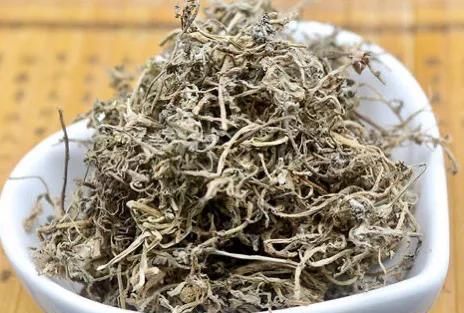 鹅不食草长什么样,鹅不食草长什么样的图3