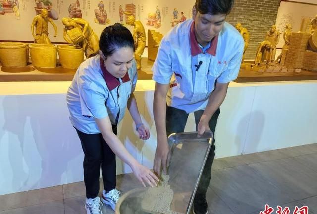 在华留学生河北定兴体验传承351年甜面酱制作技艺