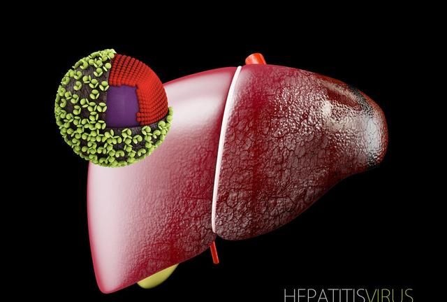 乙型肝炎表面抗体测定为阳性是什么意思图2