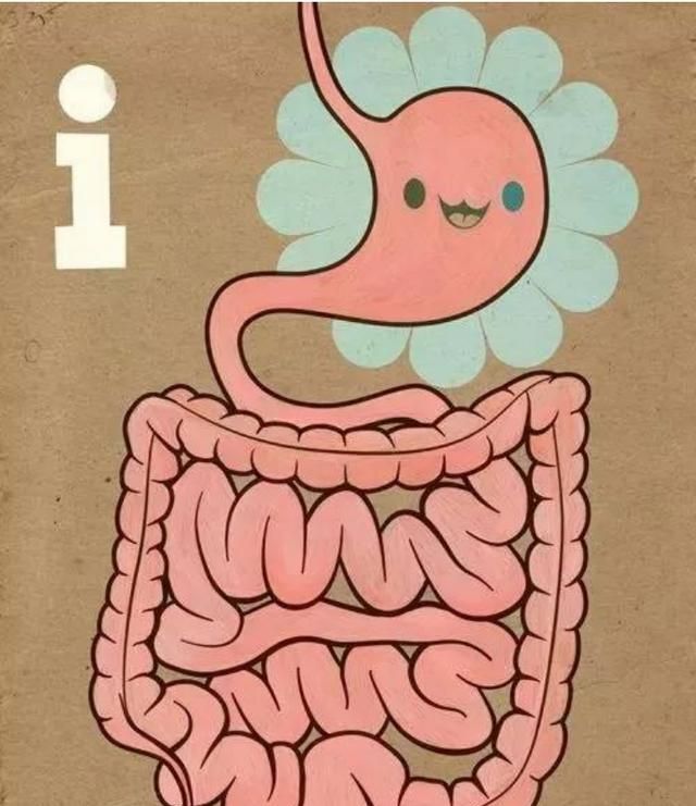如何判断肠道是否健康图1