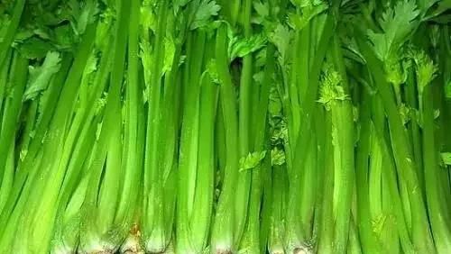 吃蔬菜可以降血压吗图4