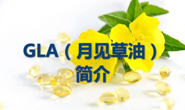 GLA（月见草油）简介