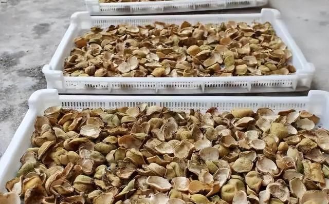 智商税还是物有所值？儿时常吃的野果，如今都成了“新型水果”
