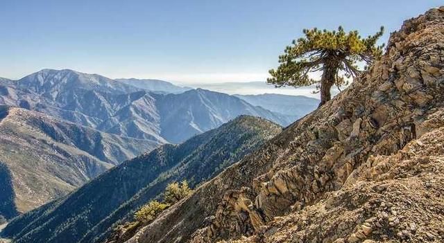 世界上最大的山脉是什么图16