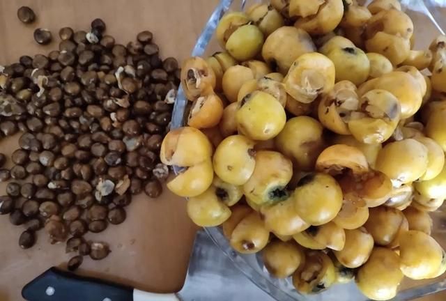 蜂蜜枇杷膏润肺止咳、清热去火，一分钟教你制作枇杷膏，零失败