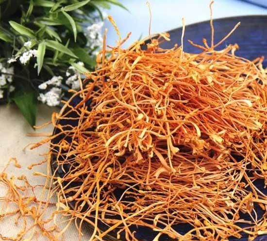 非花非虫的不老草:虫草花——功效与做法