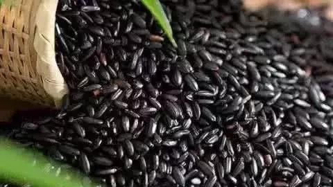 女人补肾的食物有哪些图1