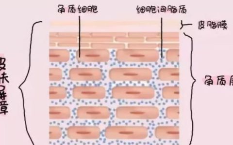 角质层薄应该如何修复角质层,角质层薄如何修复与改善