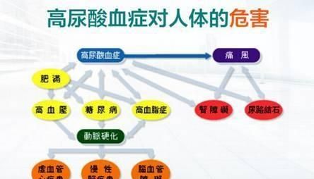 高尿酸的人什么时候锻炼最好,降尿酸最好的锻炼方法图8