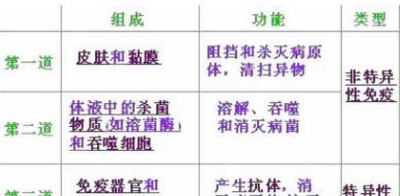 免疫力如何快速提高(教你三招有效提高免疫力)图2