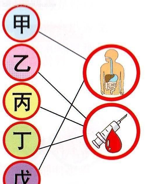 什么是戊型病毒性肝炎图2