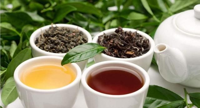 黑茶的降脂减肥作用