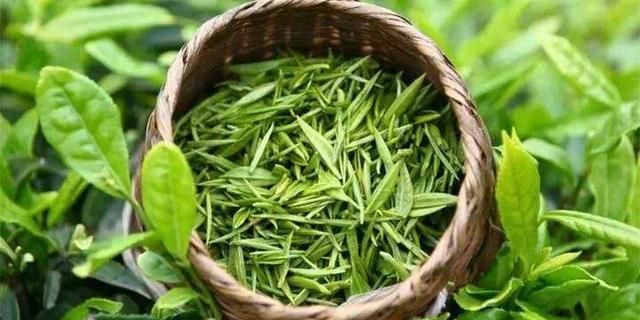 豆浆有什么功效,豆浆有啥作用图6