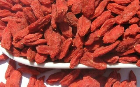 什么时间吃枸杞子最好