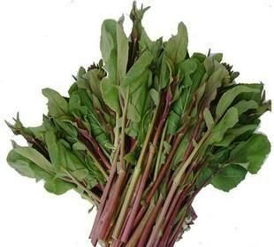 怀孕五个月红菜苔能吃吗图1