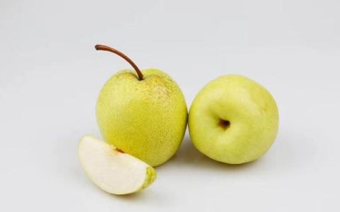 哪些食物可以化尘