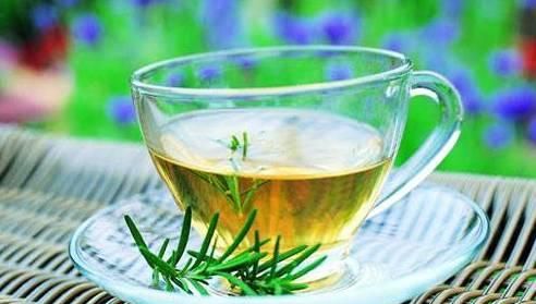 茶友解析：崂山绿茶