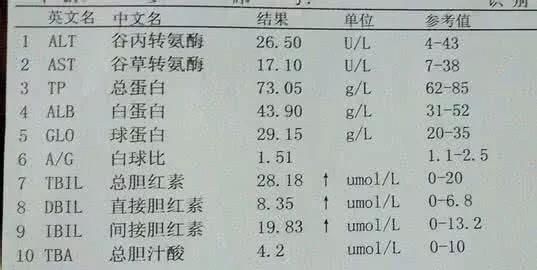 胆红素偏高是什么原因引起的(总胆红素间接胆红素偏高原因)图1