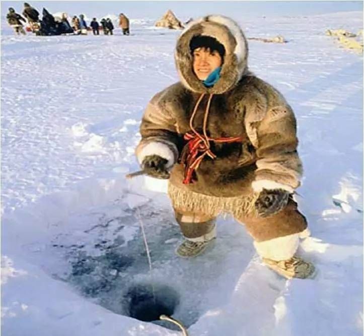 鱼油真的可以降血脂(深海鱼油对人身有啥好处)图2