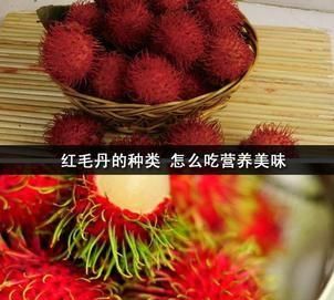 红毛丹的种类 怎么吃营养美味