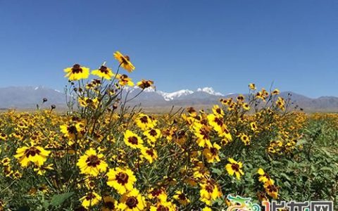 天山旅游业进一步发展的不利条件