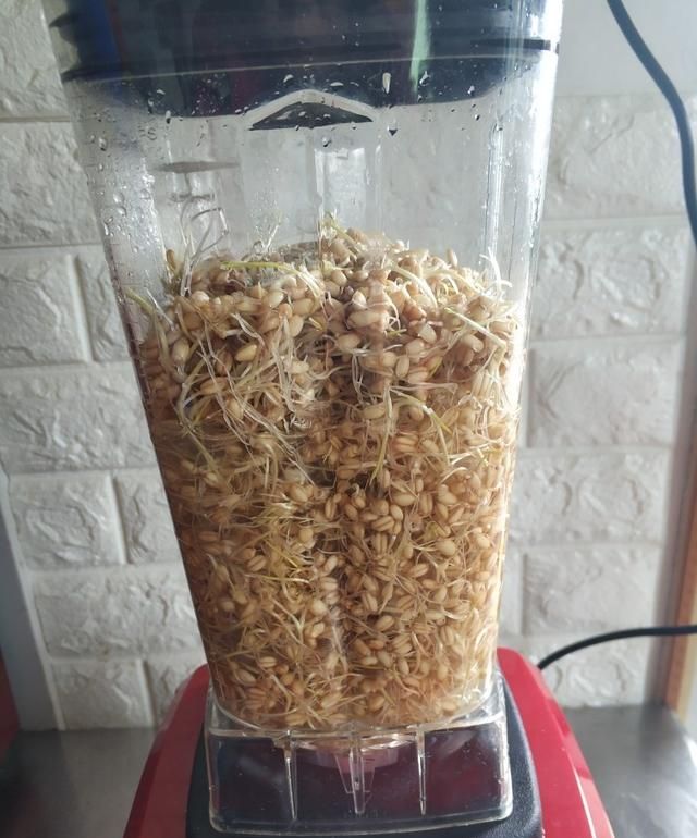 麦芽糖的做法是什么(麦芽糖的多种做法)图6