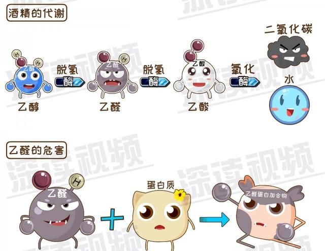 早期诊断肝硬化的主要依据图7