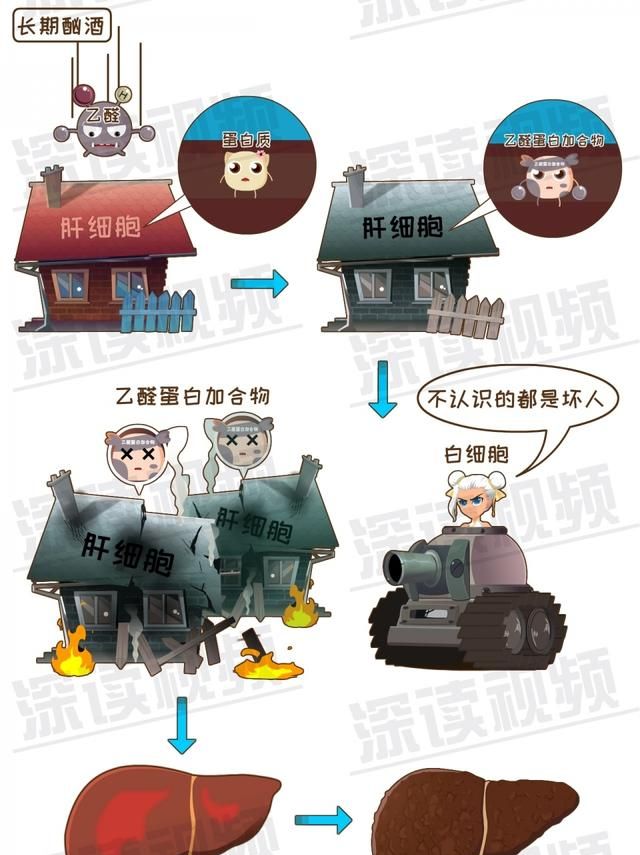 早期诊断肝硬化的主要依据图8
