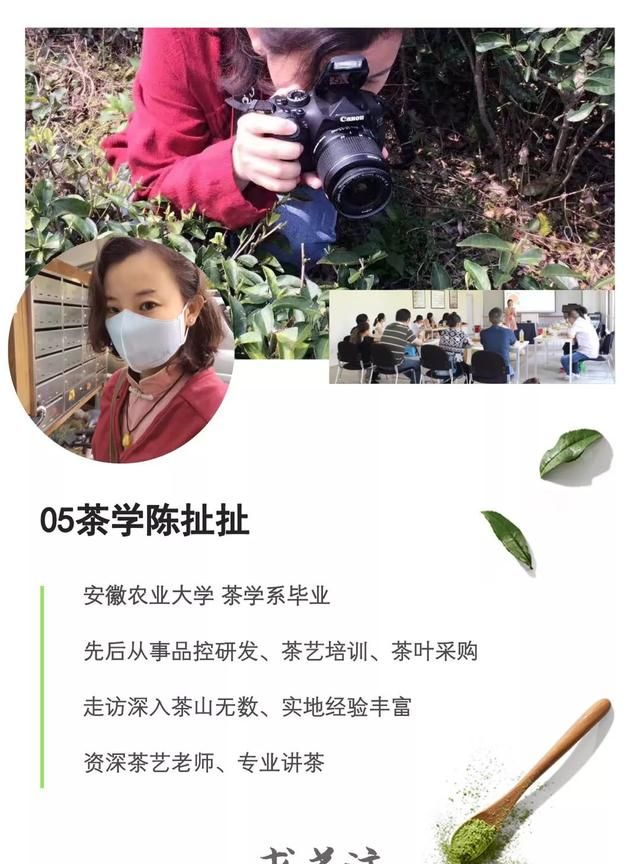 喝铁观音都有什么好处和坏处图6