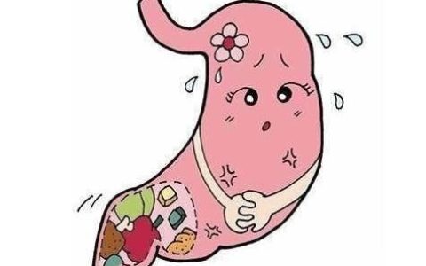 哪些食物最养胃哪些食物最伤胃
