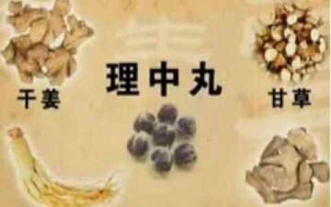 脾阳虚吃什么药(脾阳虚吃什么药膳好)