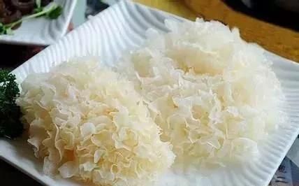 涨姿势！别把白木耳当作普通的佐餐小菜，还有好多疗效噢！