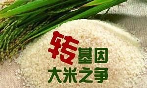 水稻种子有转基因(水稻种子可以转基因吗)图8
