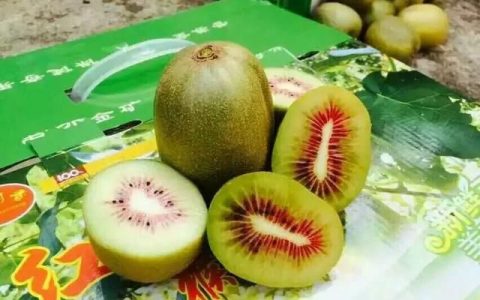 猕猴桃用什么肥料好,猕猴桃用什么肥料