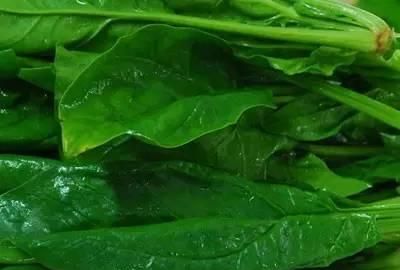 什么食物能延缓衰老图3