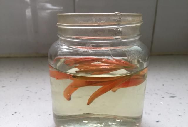 百合花有什么药用价值图3