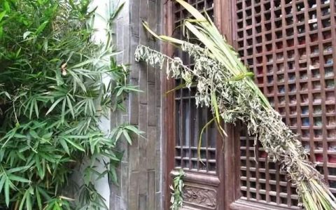 端午倒挂艾草正确挂门上(端午节在门上插艾草寓意合家团圆)