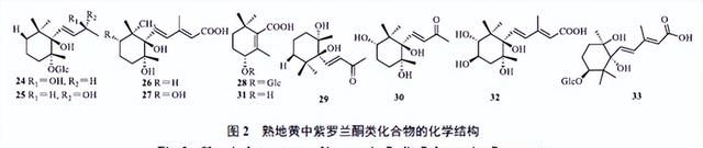 熟地黄药效物质基础研究进展