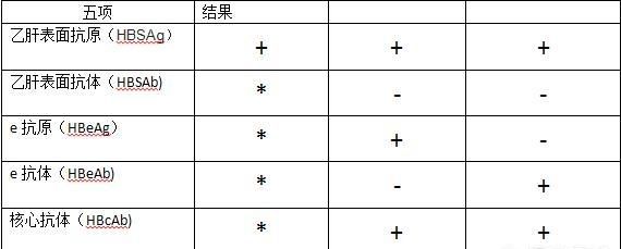 我们常说的小三阳和大三阳,到底有哪些区别呢图2