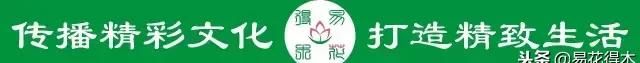 珍珠黄杨下山桩的驯化栽培经验浅谈