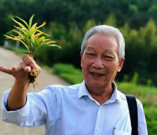 懒得煲汤？这碗粥一样可健脾益肾、养心安神，打工人周末犒劳下自己吧