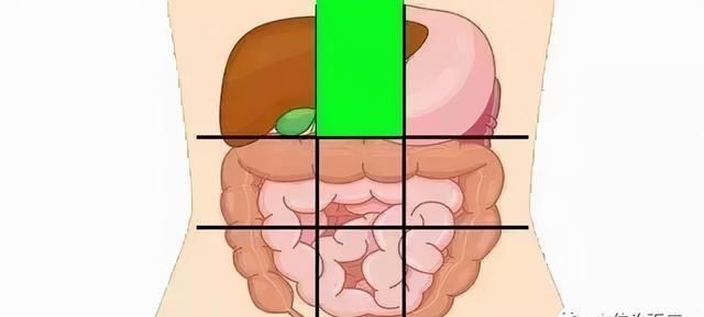 一张腹部地图，让你终身受益