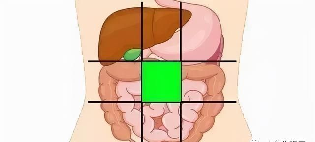 一张腹部地图，让你终身受益