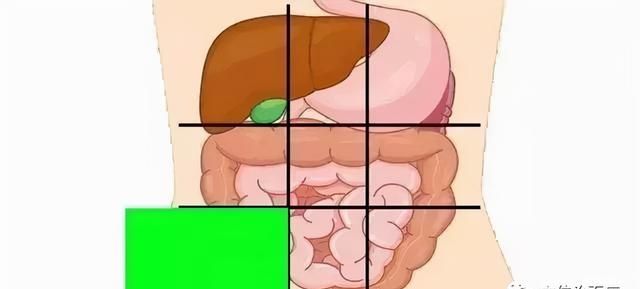 一张腹部地图，让你终身受益