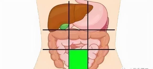 一张腹部地图，让你终身受益