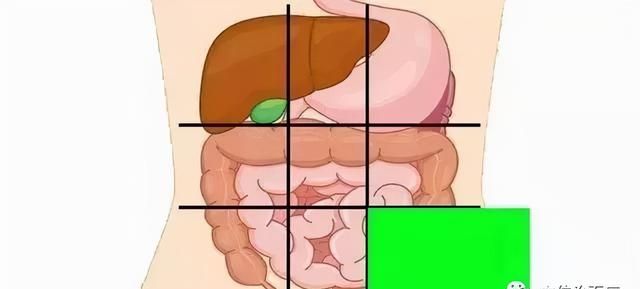 一张腹部地图，让你终身受益