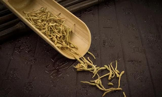 清热解毒“第一花”